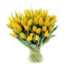 Tulpen geel